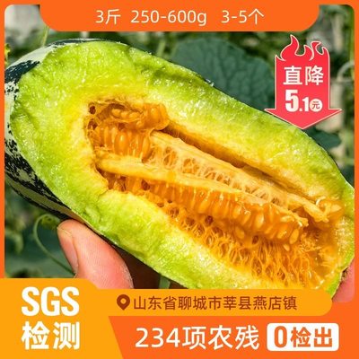 辰颐物语博洋9号甜瓜5斤山东新鲜水果包邮羊角九号大果脆甜香蜜瓜