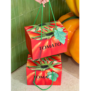 丁峰·小番茄包装手提礼盒千禧圣女果普罗旺斯西红柿4-6斤礼品盒