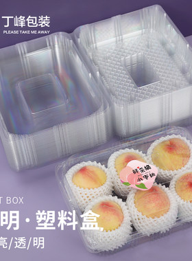 加大款塑料盒水蜜桃6粒装打包盒