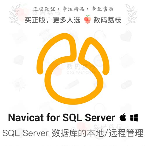 数码荔枝| Navicat for SQL Server[Mac/Win]图形化解决方案