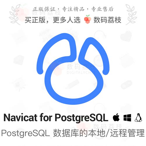 数码荔枝| Navicat for PostgreSQL[Mac/Win]图形化数据库开发