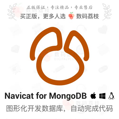 数码荔枝|Navicat for MongoDB[Win/Mac]图形化数据库开发工具
