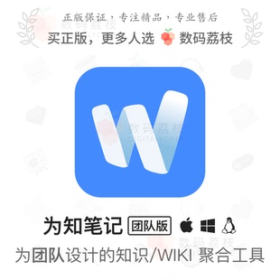 Mac Win 知识管理利器 全能笔记工具 荔枝 为知笔记 数码 团队版