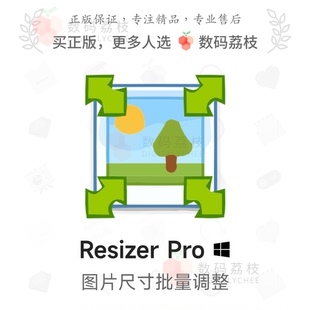 数码荔枝| Resizer Pro[Win]批量图片尺寸修改器 格式转换重命名