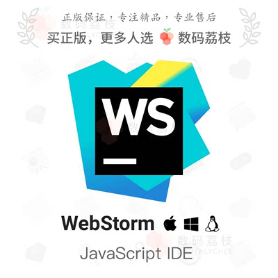 数码荔枝| WebStorm[Mac/Win]JetBrains 智能JavaScript IDE