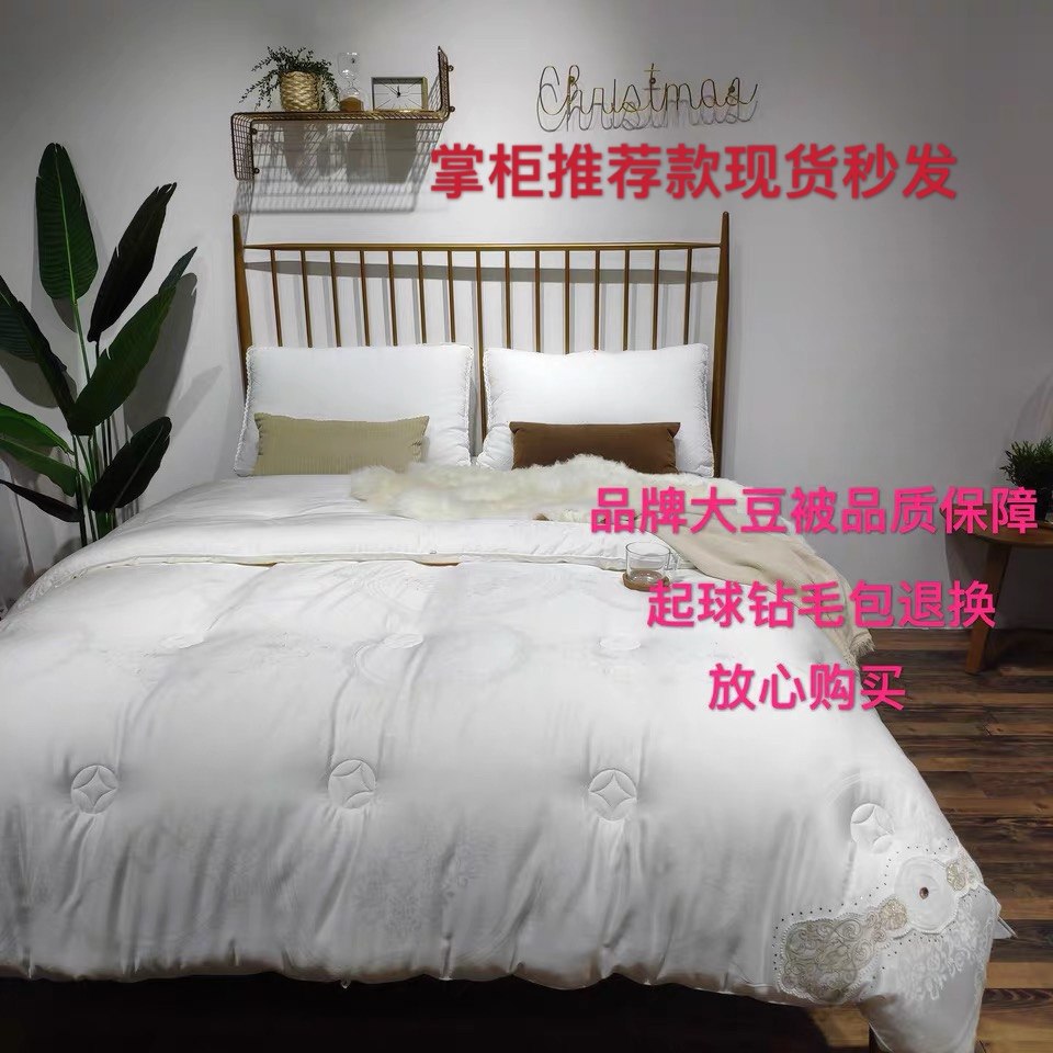 高端51%大豆蛋白纤维冬被 软糯贴身夏被春秋被加厚保暖单双人被子,床上用品,化纤被,淘宝优惠券,粉丝福利购,淘宝优惠卷