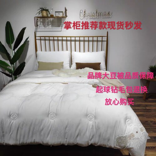 高端51%大豆蛋白纤维冬被 软糯贴身夏被春秋被加厚保暖单双人被子 - 封面