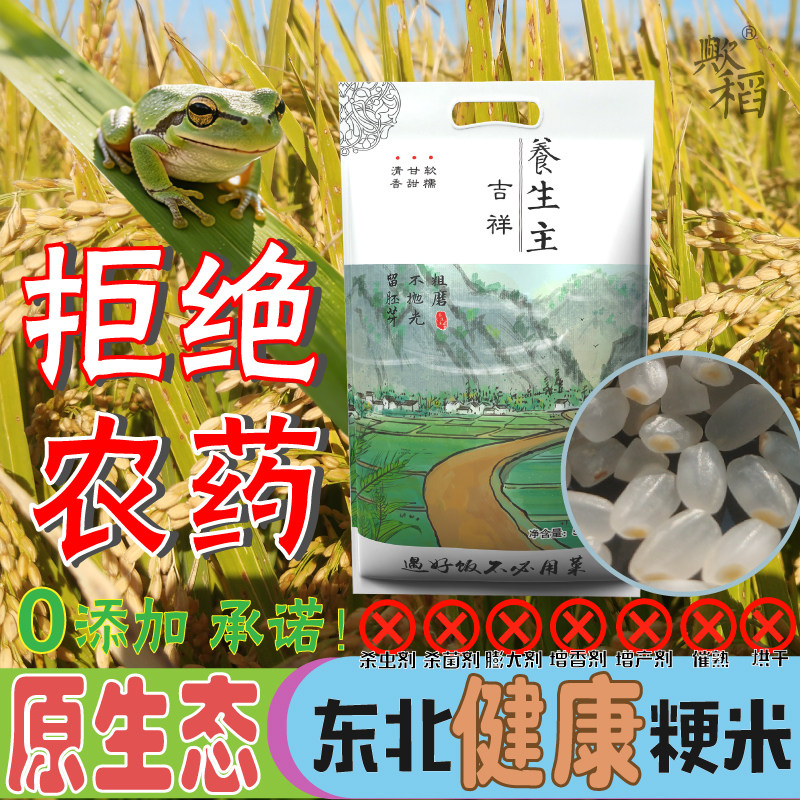 胚芽大米小町新米圆粒粳米无农药小町香米东北农家自种不抛光25年
