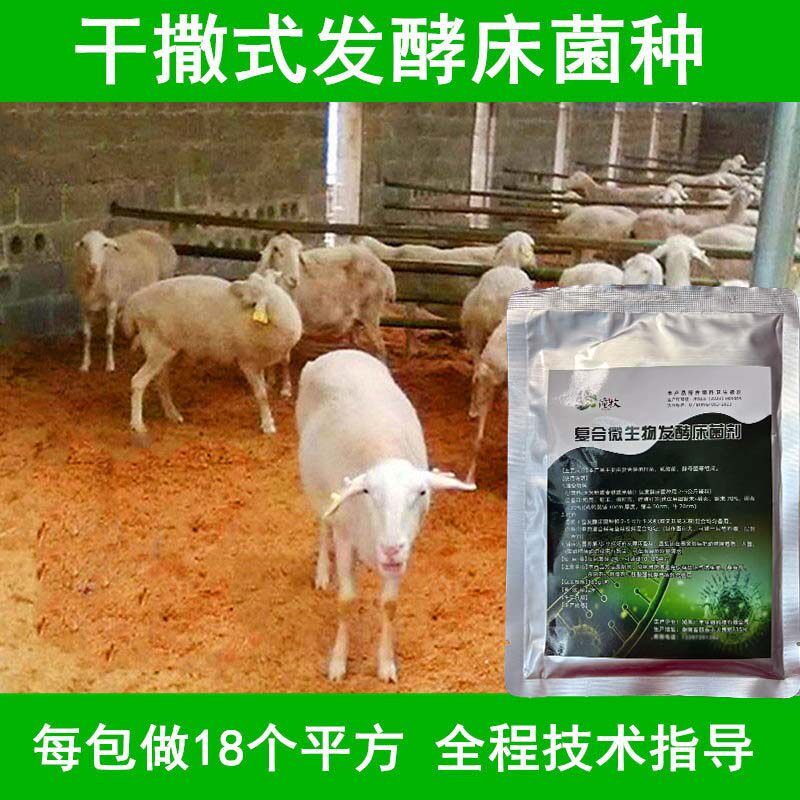 养殖发酵床菌种阳台鸡鸭鹅蛇用垫料床粪便分解除臭 EM 菌剂