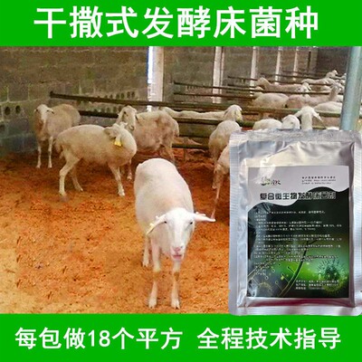 养殖发酵床菌种阳台鸡鸭鹅蛇用垫料床粪便分解除臭 EM 菌剂