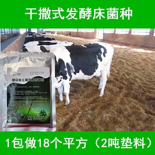 干撒式养鸡发酵床菌种鸡舍垫料锯末家用鸡床粪便发孝菌粉除臭