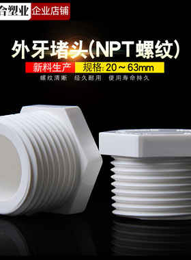 pvc堵头堵塞塞头罗纹牙堵丝堵给水管2025324分6分1寸外丝螺纹密封