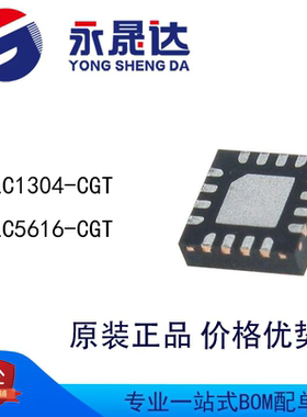 永晟达 ALC1304-CGT ALC5616-CGT 音频接口芯片