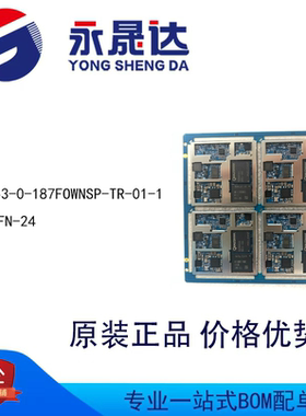 永晟达 PM-8953-0-187FOWNSP-TR-01-1 封装QFN-24 电源管理芯片