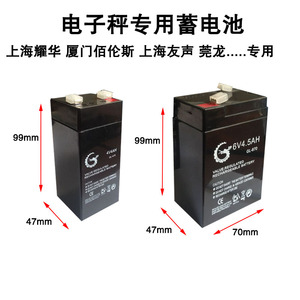电子称专用蓄电池莞龙佰伦斯耀华衡之宝电子秤电池4V/6v电子磅秤