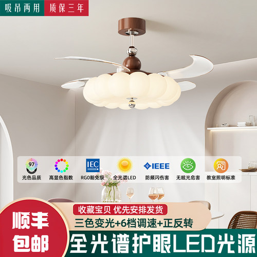 风扇灯吊扇灯吊灯超好看别致精品