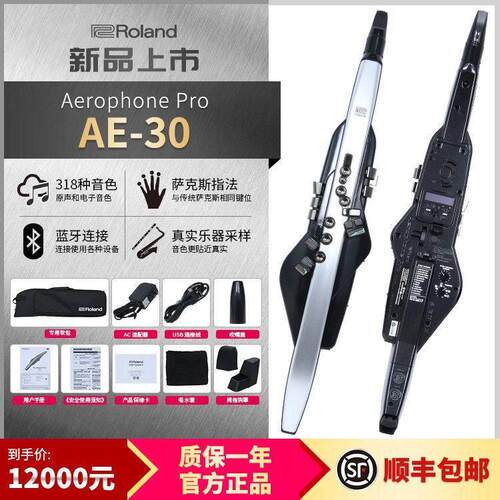 罗兰AE30电吹管乐器初学