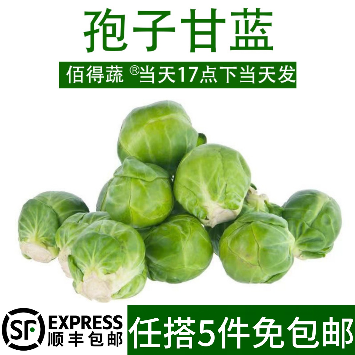 孢子甘蓝新鲜蔬菜西餐沙拉食材菜