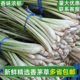 香茅草新鲜食用奶茶店原料商用柠檬茶冬阴功食材泰国菜香料柠檬草