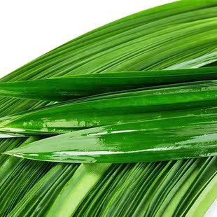 包邮 斑斓叶新鲜食用香兰叶千层蛋糕原料摆盘装 饰烘焙奶茶商用顺丰