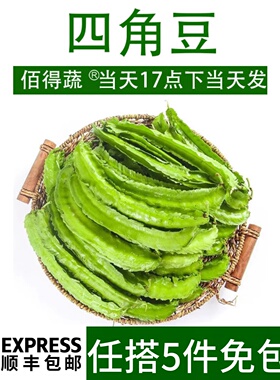 新鲜海南四角豆125g新鲜蔬菜特产四棱豆四棱豆绿色龙豆当季农产品