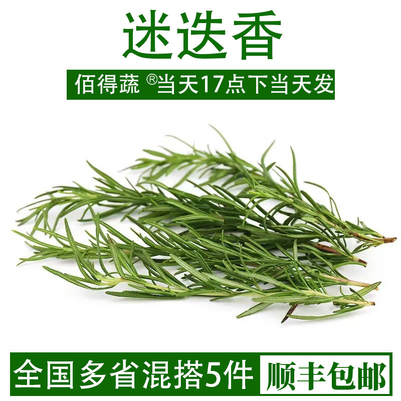 新鲜迷迭香牛排用食用香料西餐食材调味烘焙蛋糕装饰摆盘迷失香草