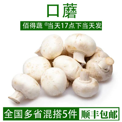 新鲜口蘑白蘑菇200g西餐食材时令