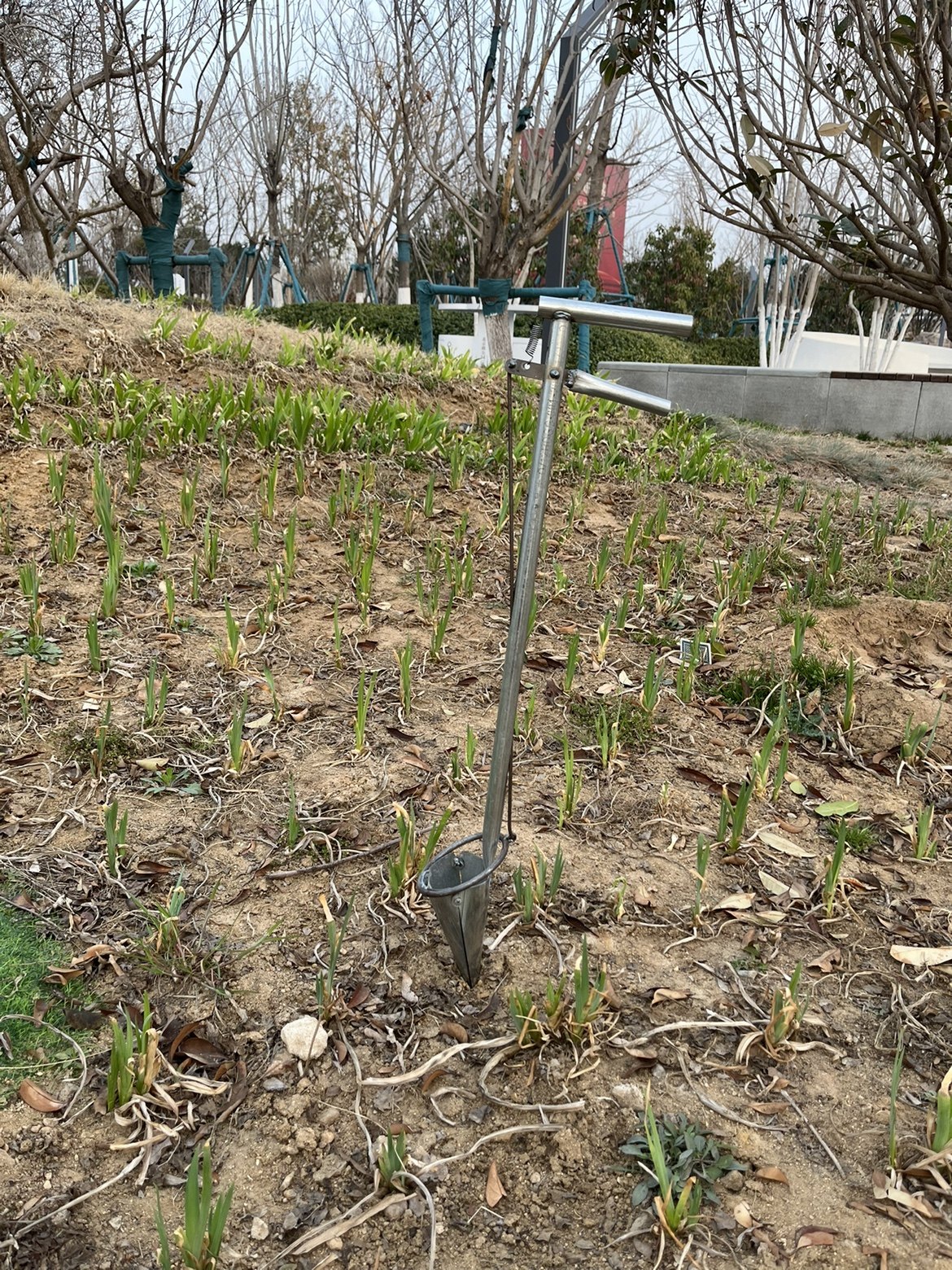 栽苗神器鸭嘴移苗器种辣椒玉米土豆西瓜移栽机打孔器手动蔬菜移栽