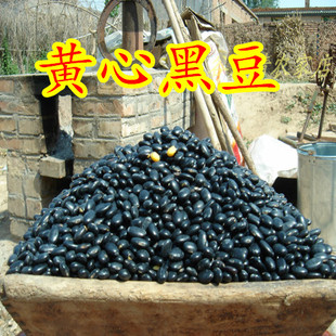 农家自产小黑豆  黄仁 扁黑豆 肾形 黄心黑豆醋泡豆500g