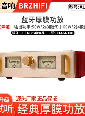 伟良A100SE HIFI发烧级功放机 家用桌面功率放大器 胆机人声音质
