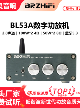 伟良音响BRZHIFI家用桌面数字功放机BL53A小型家用发烧级蓝牙5.3