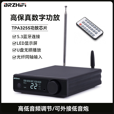 伟良音响BRZHIFI家用DP9数字功放