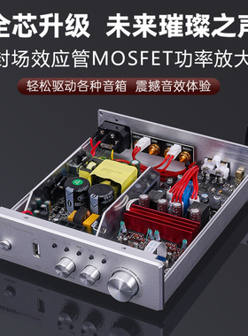 伟良PA-ir600金封场效应MOS管D类数字功放机hifi发烧大功率家用