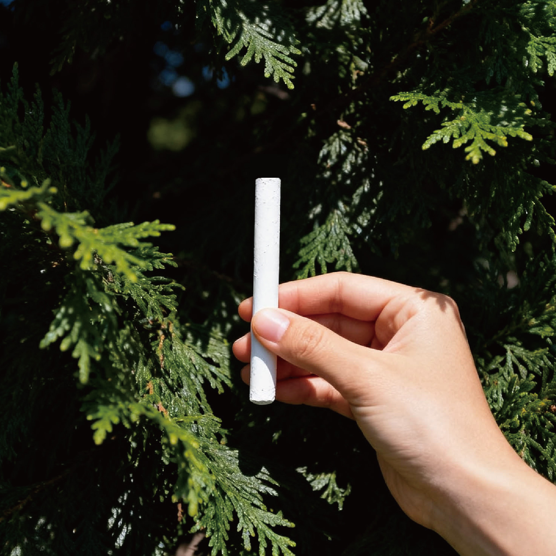 宠物殡葬【画圈粉笔】祭祀用品纸钱猫咪狗狗去世葬品头七三七五七