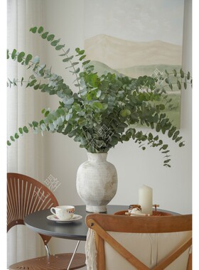 花曌 新鲜尤加利叶鲜花真花水养鲜花家居瓶插花配叶配草有清香