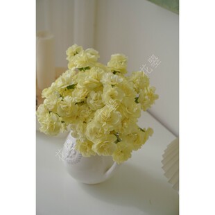 花曌 海盛奶黄色柠檬黄奶油黄多头康乃馨鲜花水养真花家居瓶插花