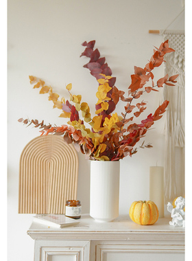 花曌 荷兰进口彩色尤加利永生花干花家居瓶插花客餐厅装饰