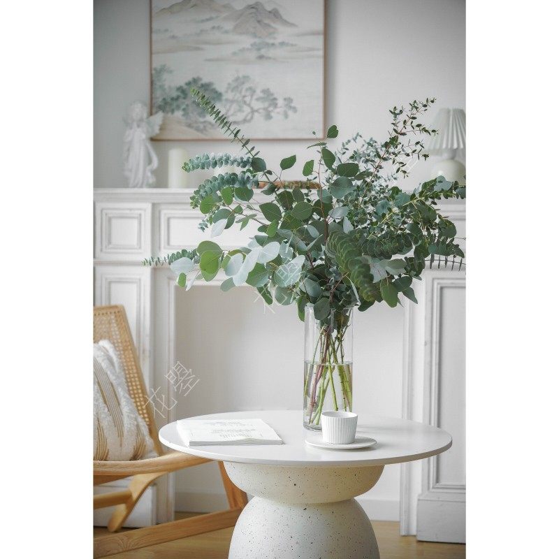 花曌 新鲜尤加利叶细叶圆叶尤加利叶苹果叶鲜花混搭家居瓶插花,鲜花速递/花卉仿真/绿植园艺,花材,淘宝优惠券,粉丝福利购,淘宝优惠卷