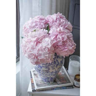 绣球鲜花绣球花绣球切花鲜切花水养鲜花真花浅粉色绣球花瓶插花材