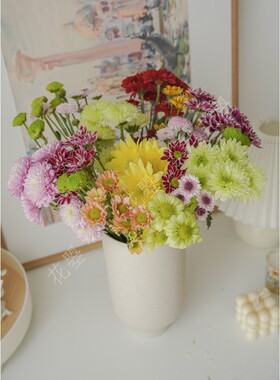 花曌 新鲜采摘小雏菊鲜花水养真花混搭组合家居瓶插花全国包邮