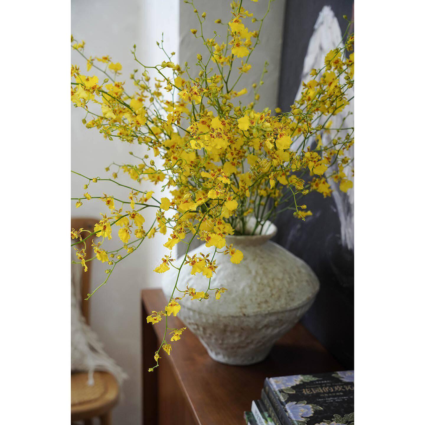 新鲜跳舞兰鲜花【鲜切花】【真花】红心跳舞兰花瓶插花黄色系鲜花