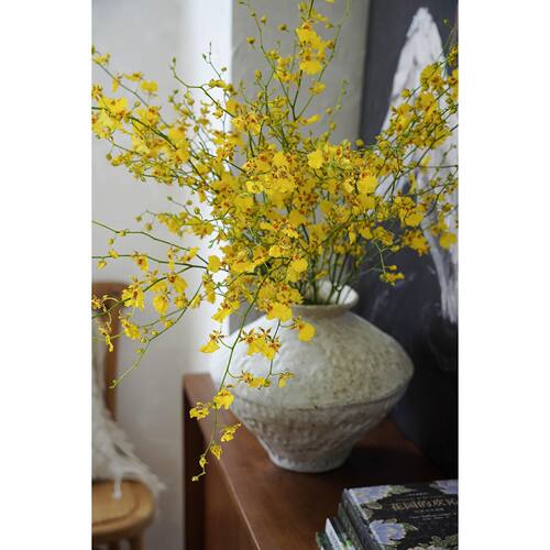点亮空间的鲜花跳舞兰鲜花
