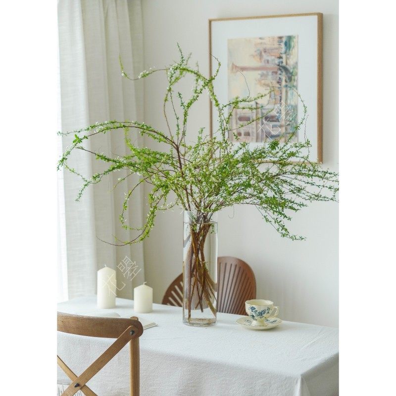 花曌 雪柳鲜枝！雪柳带花苞发货！雪柳鲜花水养真花家居瓶插花,鲜花速递/花卉仿真/绿植园艺,花材,淘宝优惠券,粉丝福利购,淘宝优惠卷