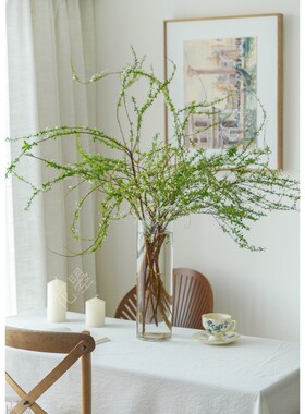 花曌 雪柳鲜枝！雪柳带花苞发货！雪柳鲜花水养真花家居瓶插花