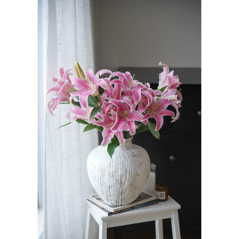 新鲜粉百合鲜花水养粉百合花真花瓶插花餐桌书桌面鲜花粉色百合花,鲜花速递/花卉仿真/绿植园艺,花材,淘宝优惠券,粉丝福利购,淘宝优惠卷