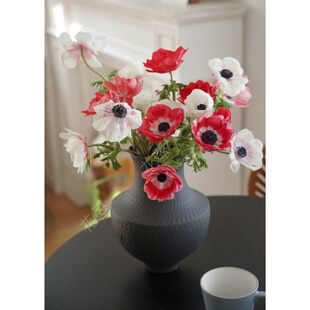 银莲花鲜花水养真花鲜切花紫色白色红色银莲花秋牡丹花瓶插花桌面