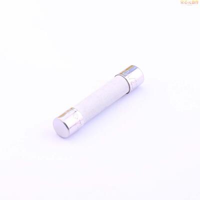 0314010.HXP原装「10A 250V 快断」正品