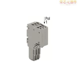 CONDUCTOR 「2 FEMALE CONNECTOR; 2020 1.」正品 211原装