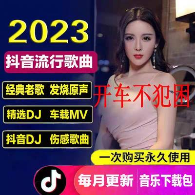 2024抖音热门新歌网红流行DJ经典歌曲无损高音质车载音乐下载包