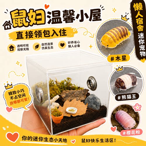 活体鼠妇宠物西瓜虫爬宠生态缸